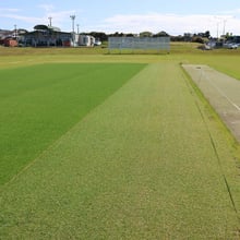 The cricket pitches at the Bruce Freeman Oval